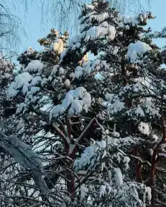 Крутой Яр - 41