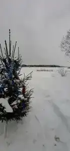 Дом отдыха в Валентиновке - 32