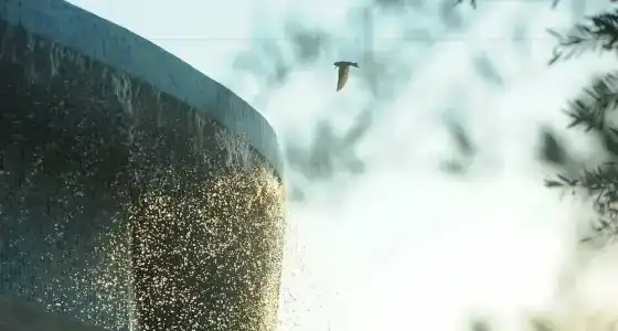 Yalicapkini Boutique - 35