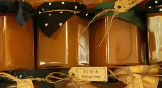 Janne - 30