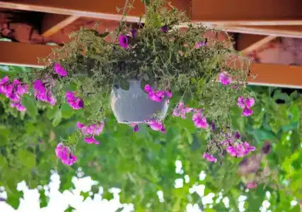 Kabak Misafir Evi - 18