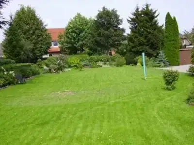 Waldquelle - 6