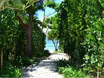 Kanehide Kise Beach Palace - 12