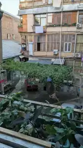 Moosica Hostel - 4