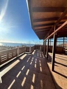 У Роберта - 14