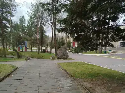 Пралеска - 14
