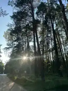 Чёрное озеро - 18