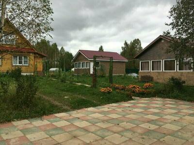 Стрижели - 44