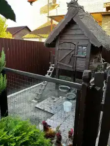 Калипсо - 8