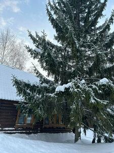 Новый ковчег - 36