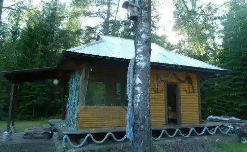 Динамо - 14