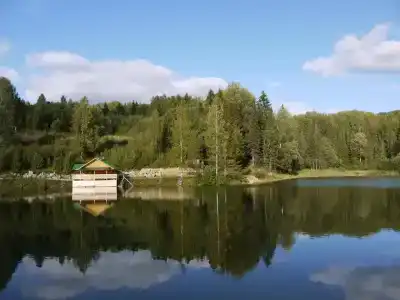 Родники - 32