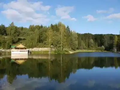 Родники - 54