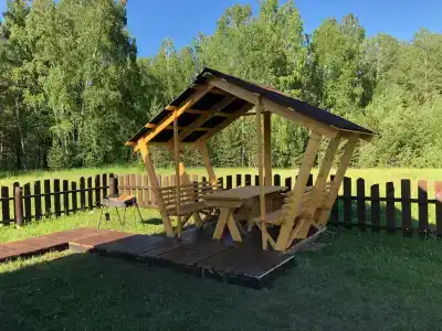 Волшебный лес - 0
