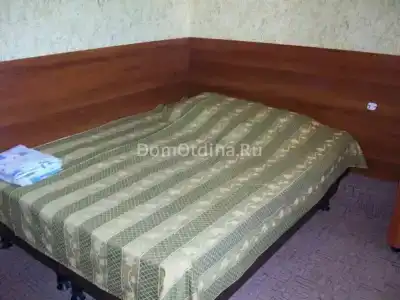 Колибри - 2