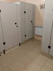 Феникс - 50