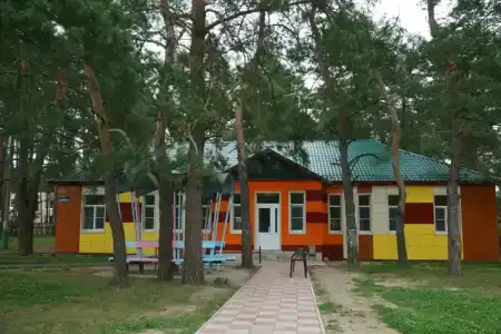 Сосновый бор - 33