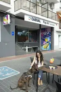 Casual Pop Art Benidorm - 18