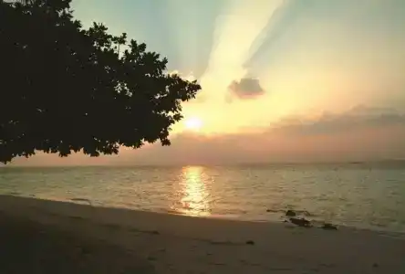Biyadhoo Island Resort - 11