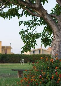 Agriturismo Il Gelsomino Ritrovato - 10