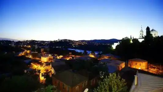 Зеленый цветок - 8