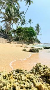 Cool Beach - 26