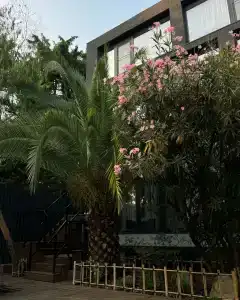 Булгаков - 98