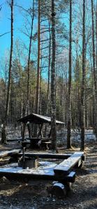 Веселый ключ - 48