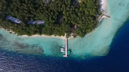 Biyadhoo Island Resort - 36