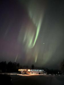 Арктик серф - 19