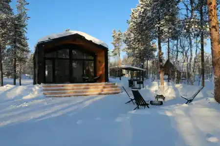 ЛеСъ - 39