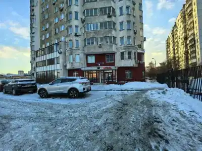 Сова - 3