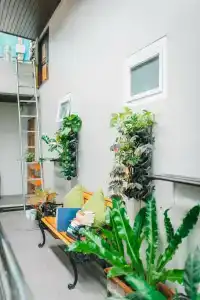 Chilli&Restaurant - 42