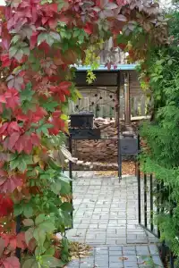 В саду - 1