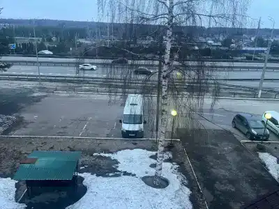 Добрый финн - 36