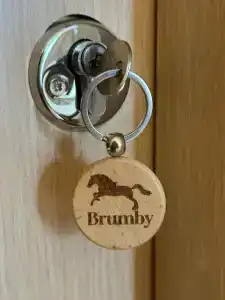 Brumby - 5