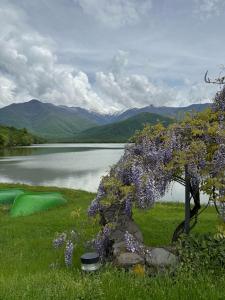 Курортный отель Kvareli Lake Resort - 23