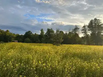 Уварово Village - 23