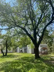 Отдых на Волге - 1
