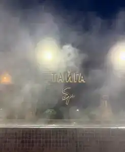 Тайга - 9