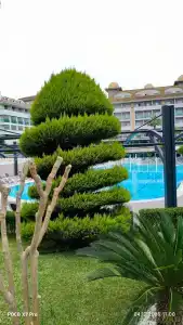 Aydinbey King's Palace & Spa - Ultra All Inclusive - 50