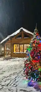 Шунский берег - 14