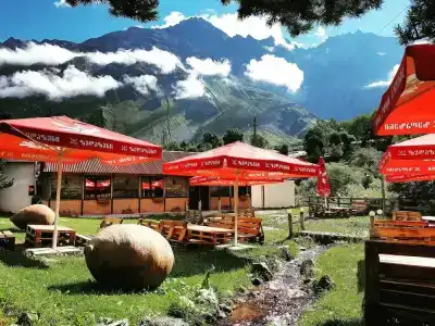 Cozy in Kazbegi - 0