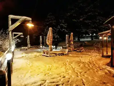 Cozy in Kazbegi - 7