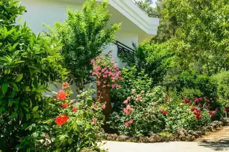 Naturella Apart - 31