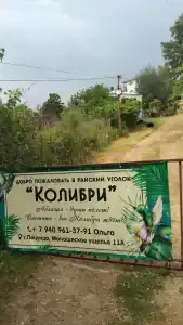 Колибри - 1