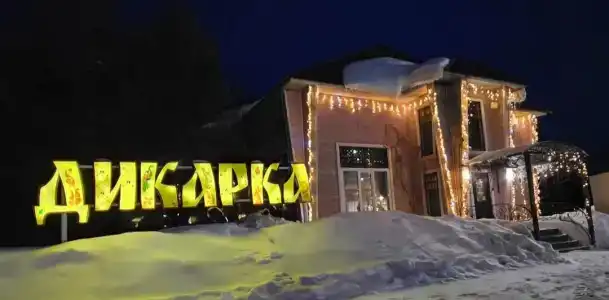 Дикарка - 30