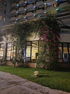 Palm Beach Resort & Spa - 46