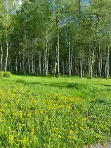 Eco Village Club - 19