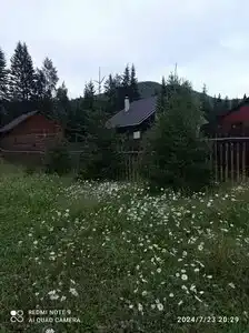 Тайга Гостевой дом - 4